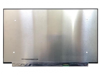 Module LCD INNOLUX 15,6 pouces N156HCA-EAB
